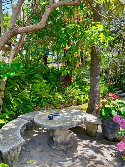 Grand Mansion With Tropical Park *