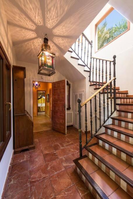 Grand Mansion With Tropical Park *