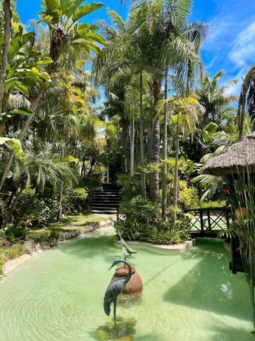 Grand Mansion With Tropical Park Villa *