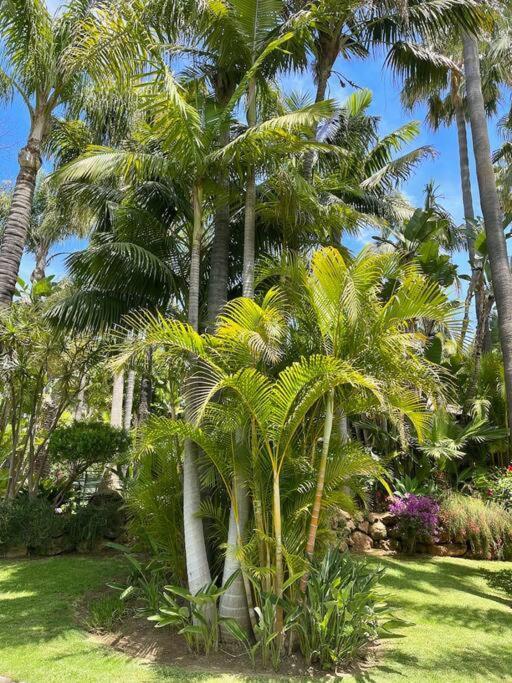 Grand Mansion With Tropical Park *